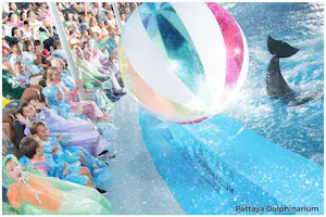 Dolphinarium Pattaya Swimming Tickets