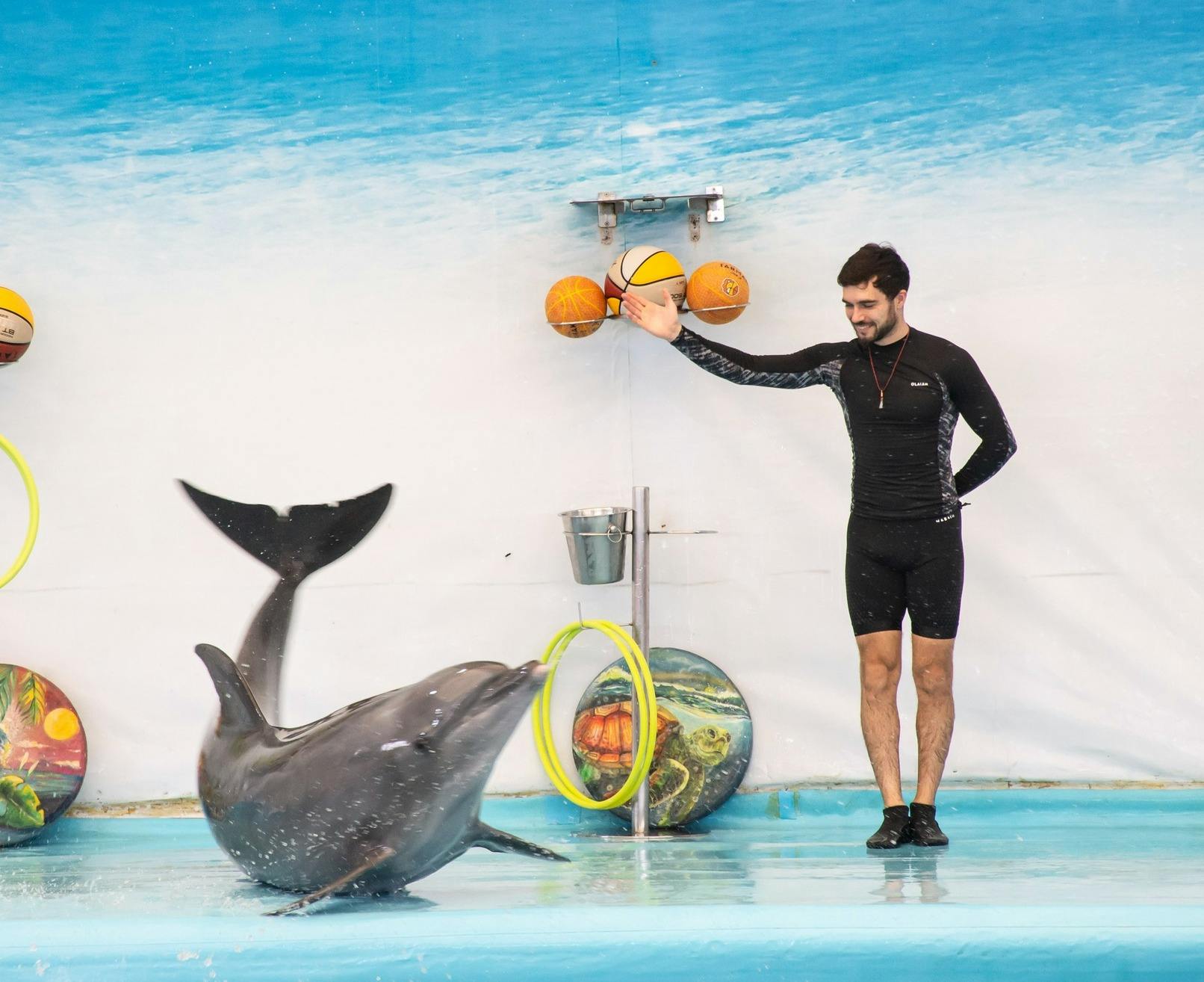Dolphinarium Pattaya Swimming Tickets Price