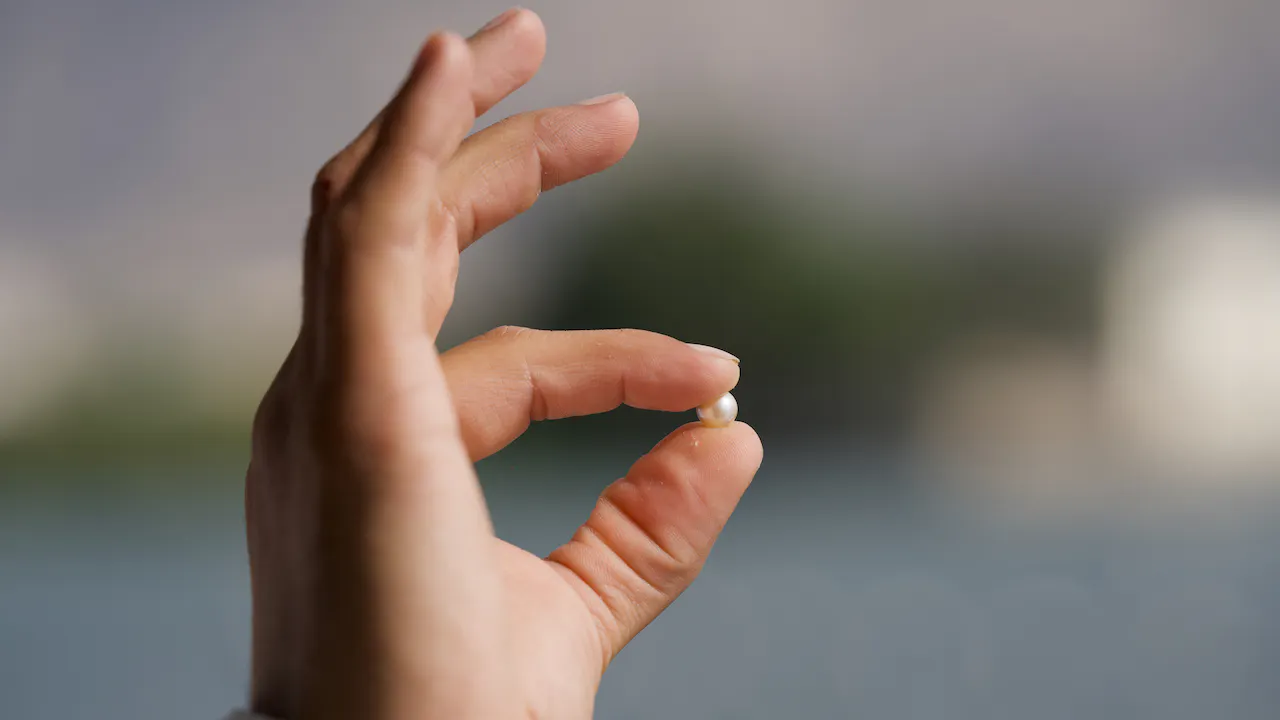 Suwaidi Pearls Farm Tour in Ras al-Khaimah