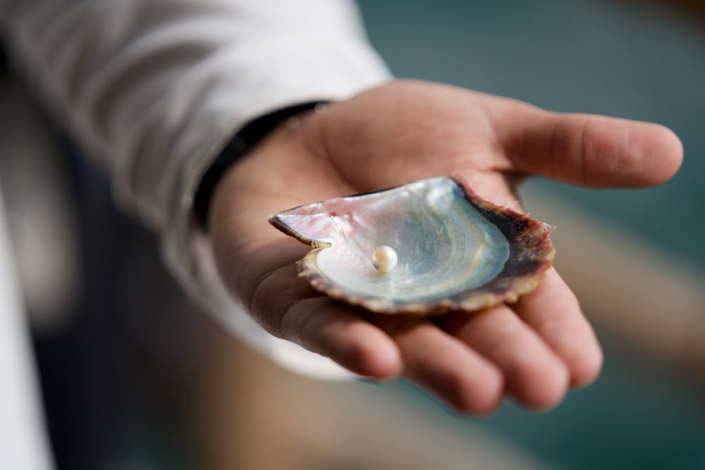 Suwaidi Pearls Farm Ras al-Khaimah