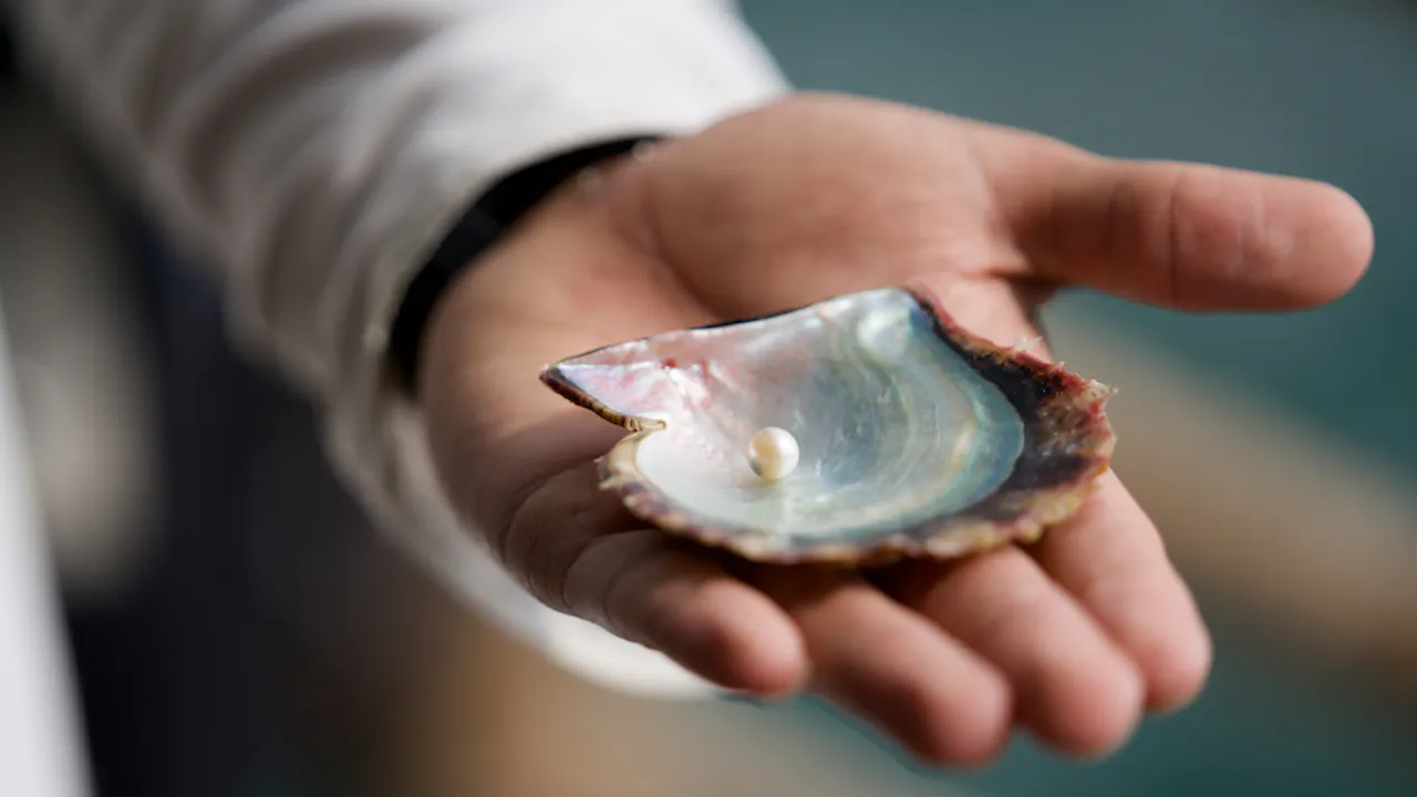 Suwaidi Pearls Farm Ras al-Khaimah