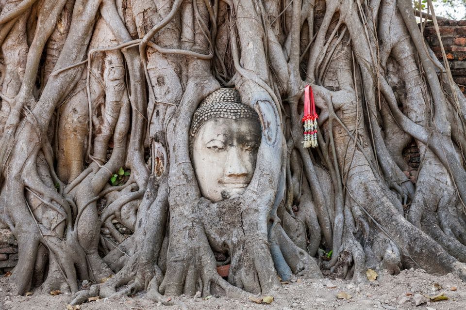From Bangkok: Ayutthaya Day Tour with lunch with an English Guide Ticket
