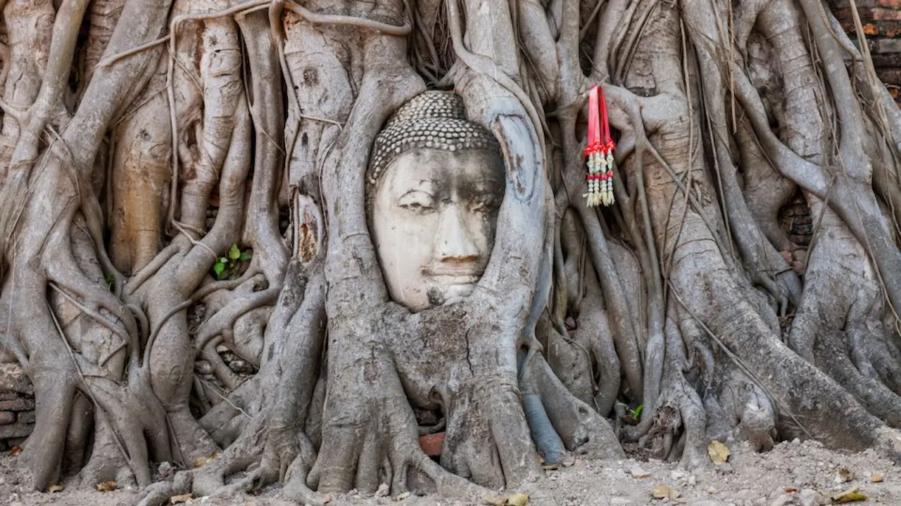 From Bangkok: Ayutthaya Day Tour with lunch with an English Guide Ticket