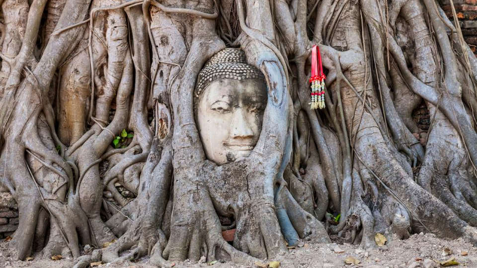From Bangkok: Ayutthaya Day Tour with lunch with an English Guide Ticket