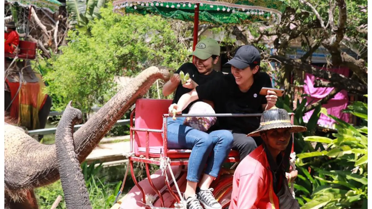 Classic Thailand Day Tour - Damnoen Saduak Floating Market & Elephant Camp Discount