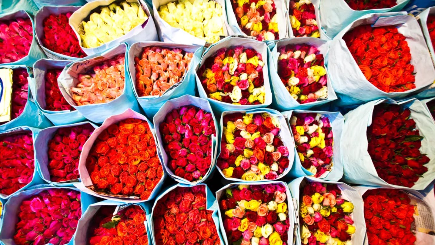 Discover the Rich Heritage: Old Portuguese Community and Flower Market. Price