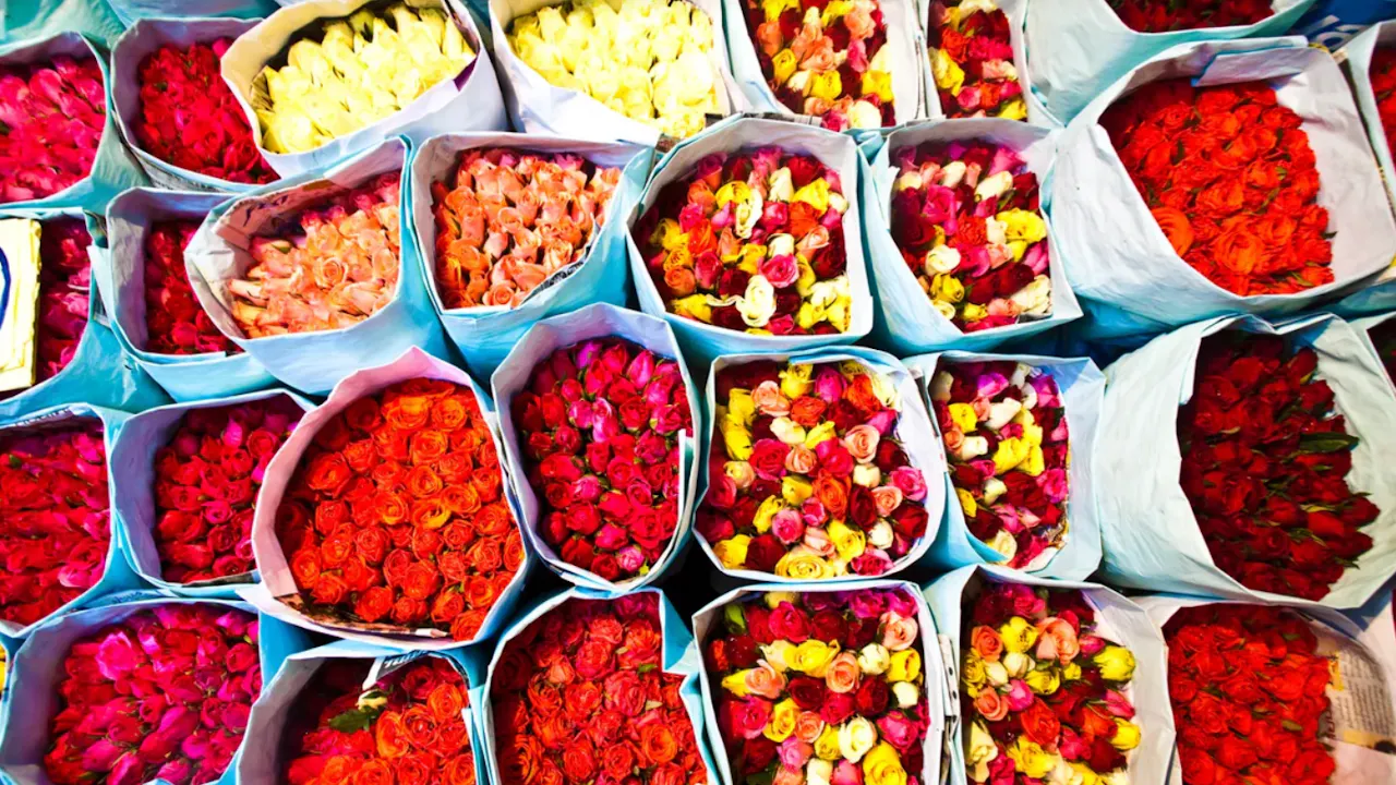 Discover the Rich Heritage: Old Portuguese Community and Flower Market. Price