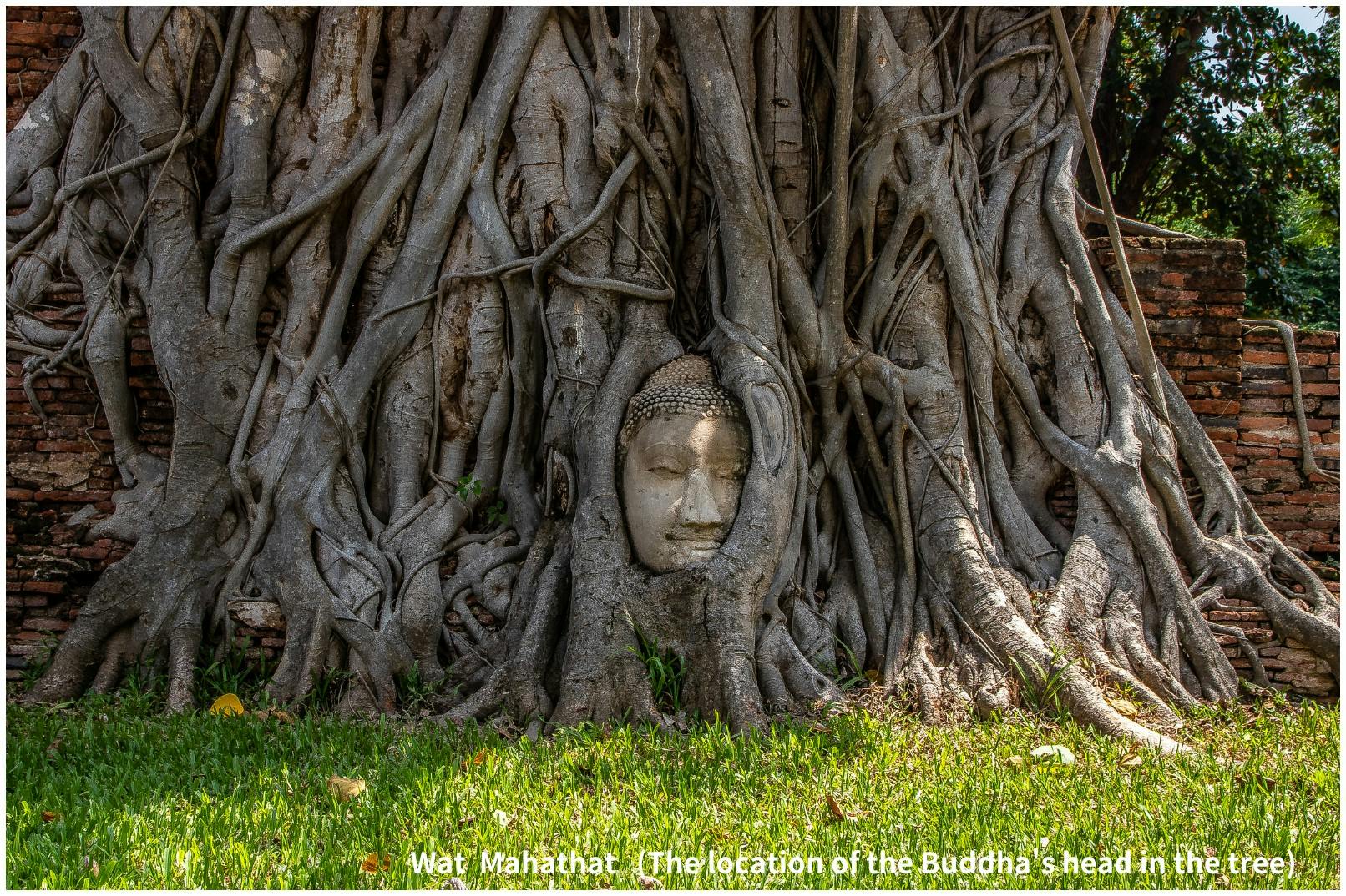 Ayutthaya Must Visit Temples Tour from Bangkok Category