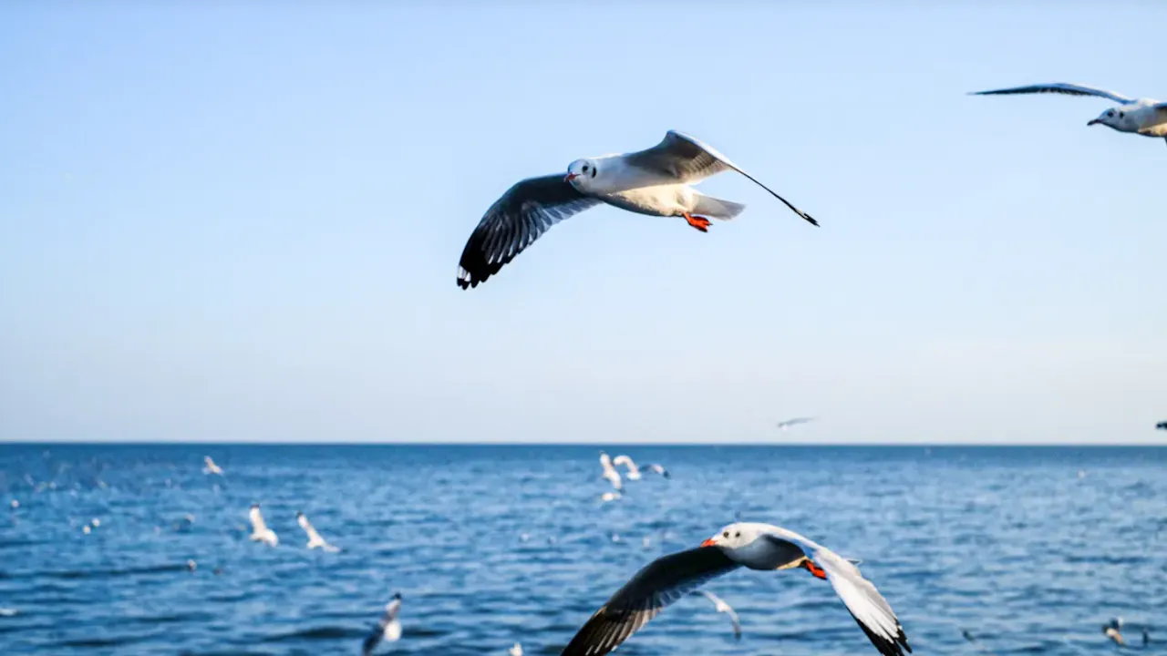 Explore The Giant Three-Headed Elephant - The Ancient City - Bang Pu Seaside Category