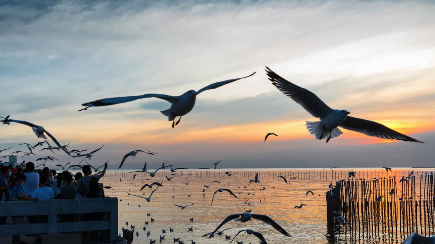  Explore The Giant Three-Headed Elephant - The Ancient City - Bang Pu Seaside Location