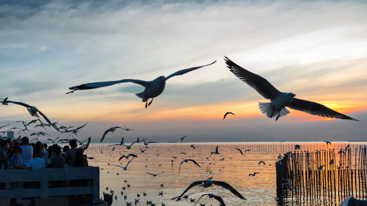 Explore The Giant Three-Headed Elephant - The Ancient City - Bang Pu Seaside Location