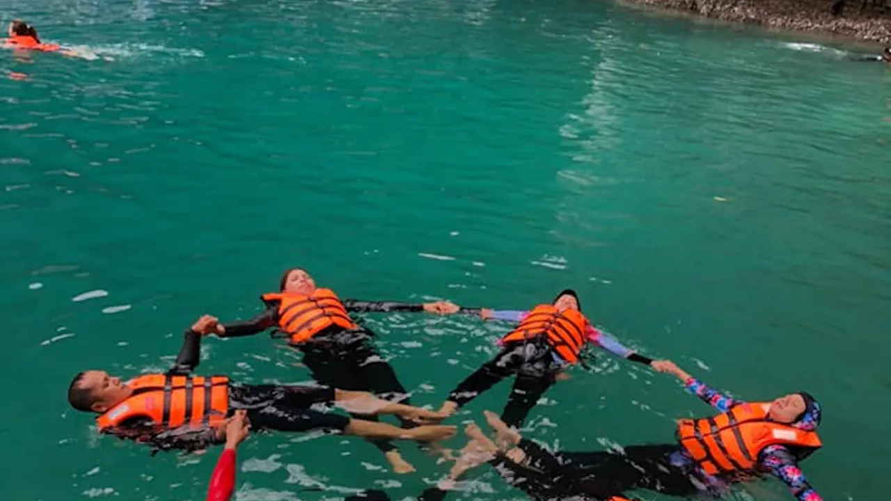 Phi Phi Island Day Trip Speedboat Tour include Transfer