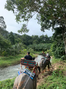 Join Tour White Water Rafting, Flying Fox, Jungle Walk, ATV Adventure and Elephant Trekking from Phuket