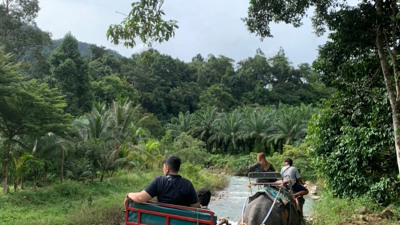 Join Tour White Water Rafting, Flying Fox, Jungle Walk, ATV Adventure and Elephant Trekking from Phuket