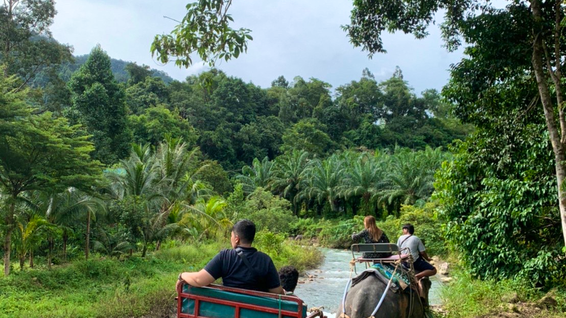 Join Tour White Water Rafting, Flying Fox, Jungle Walk, ATV Adventure and Elephant Trekking from Phuket