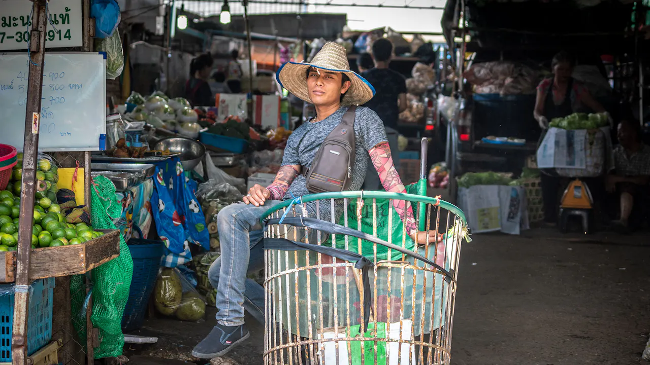 Twilight Chiang Mai City Cycling Tour Discount