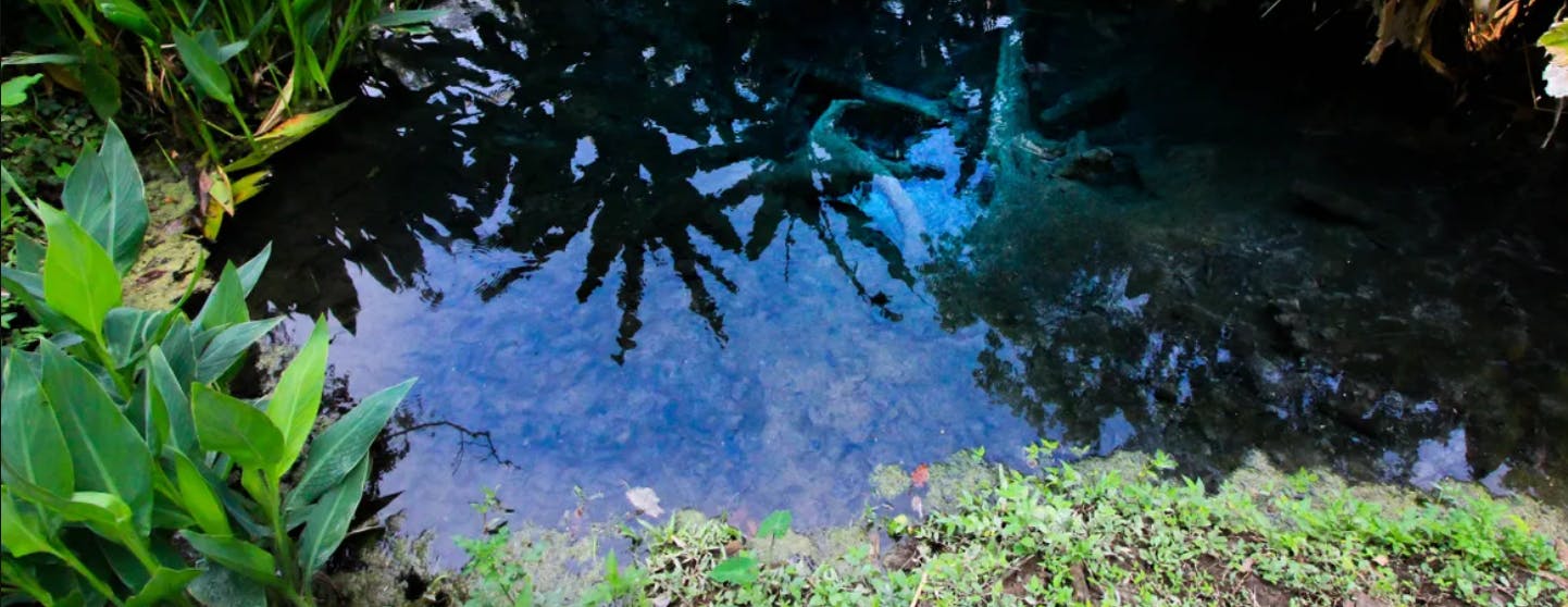 Climb Unique Sticky Waterfall in Chiang Mai Category