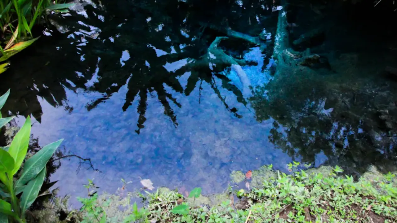 Climb Unique Sticky Waterfall in Chiang Mai Category