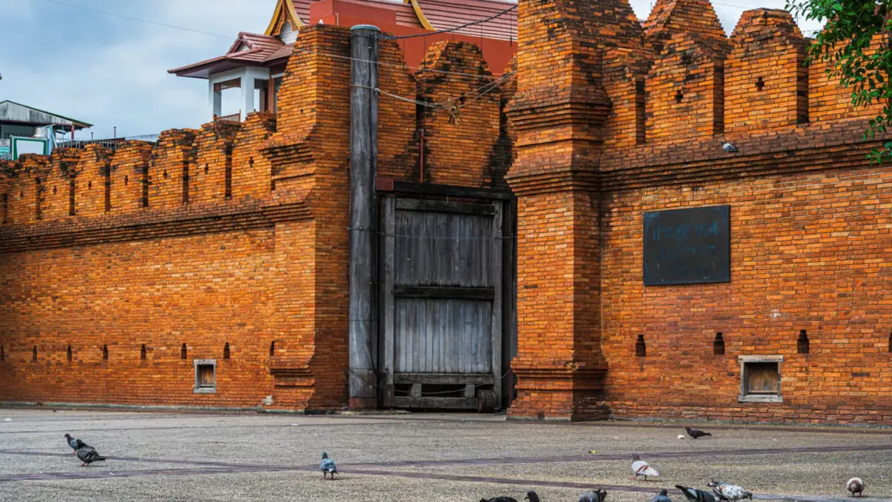 Chiang Mai Evening Street Food Walking Tour