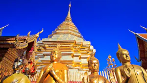 Chiang Mai City Tour: Northern Temples Tour