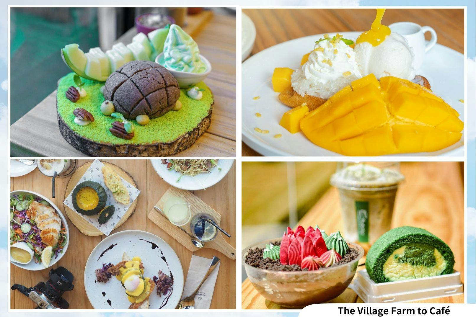 Kanchanaburi Full Day Experience: Elephants Experience Elephants Bathing & Bamboo Rafting 