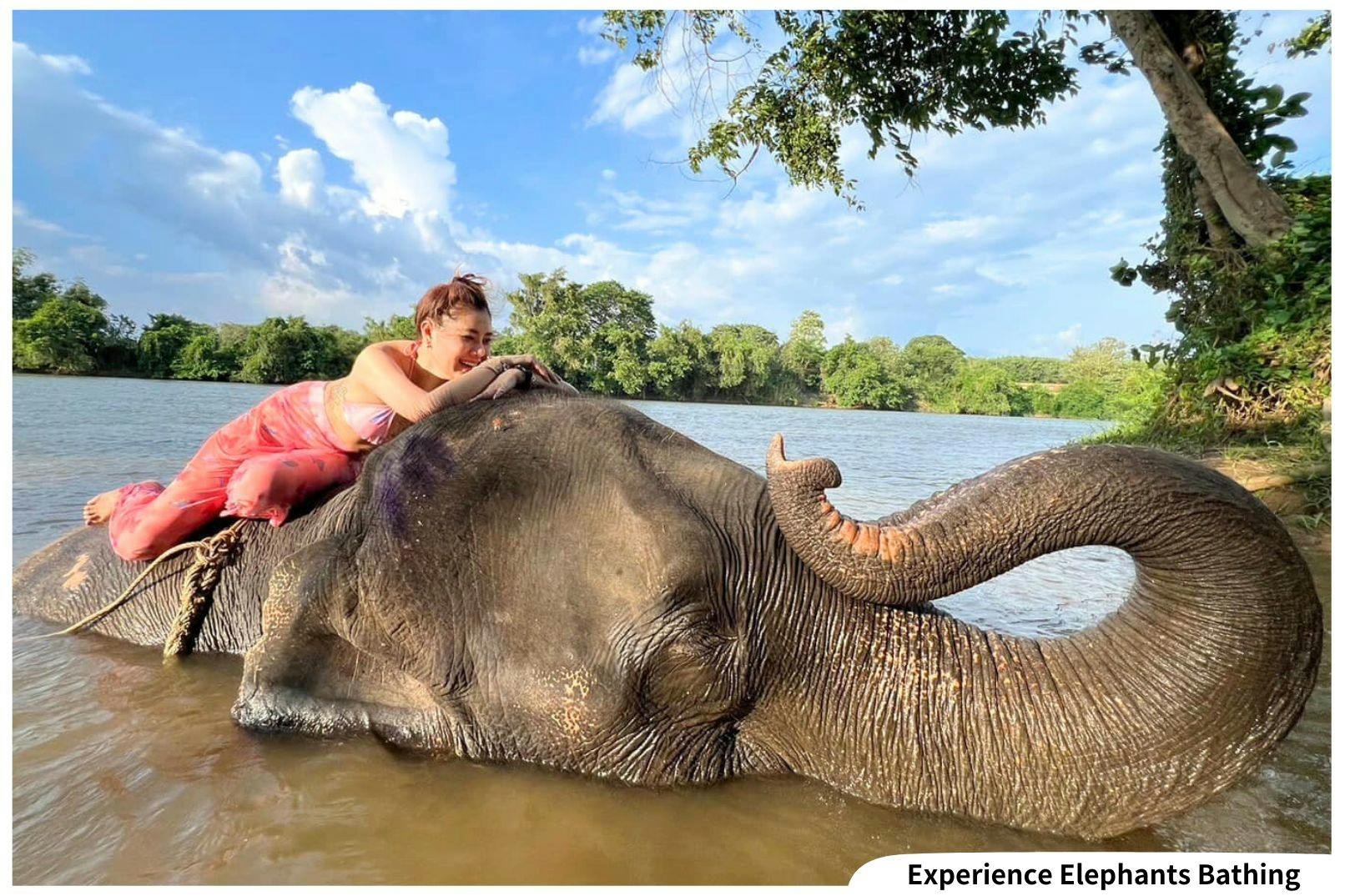 Kanchanaburi Full Day Experience: Elephants Experience Elephants Bathing & Bamboo Rafting Discount