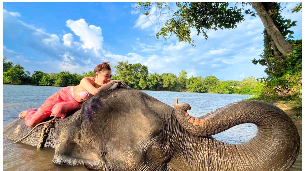 Kanchanaburi Full Day Experience: Elephants Experience Elephants Bathing & Bamboo Rafting Discount