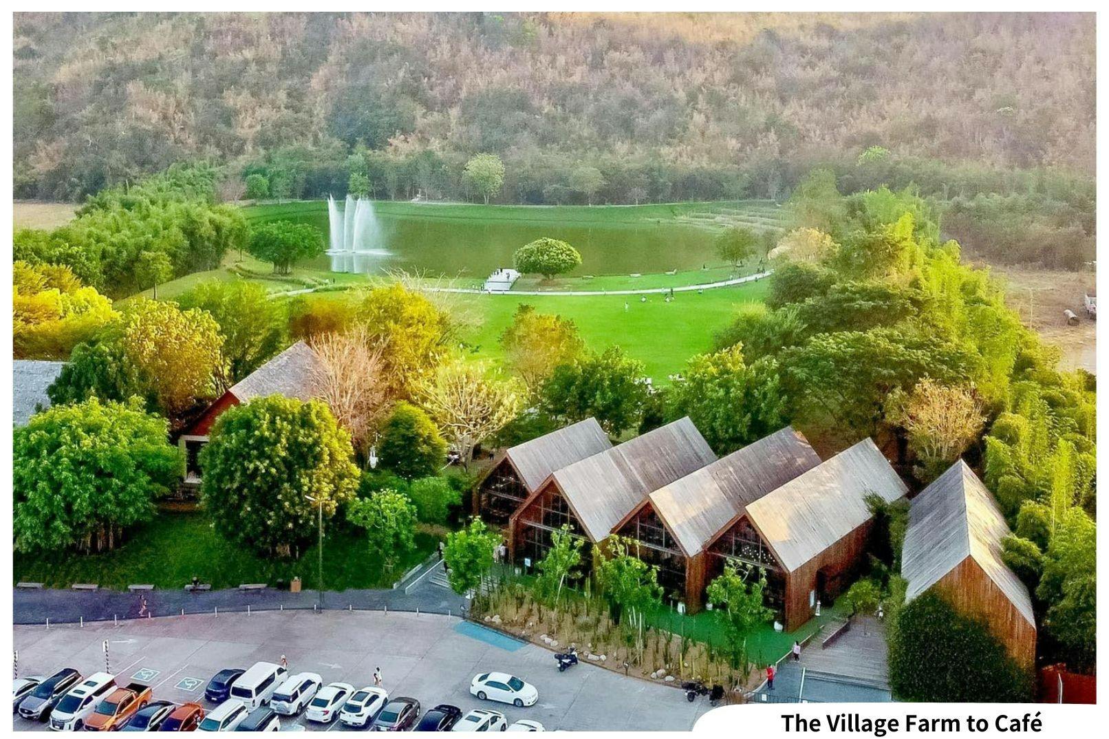 Kanchanaburi Full Day Experience: Elephants Experience Elephants Bathing & Bamboo Rafting 