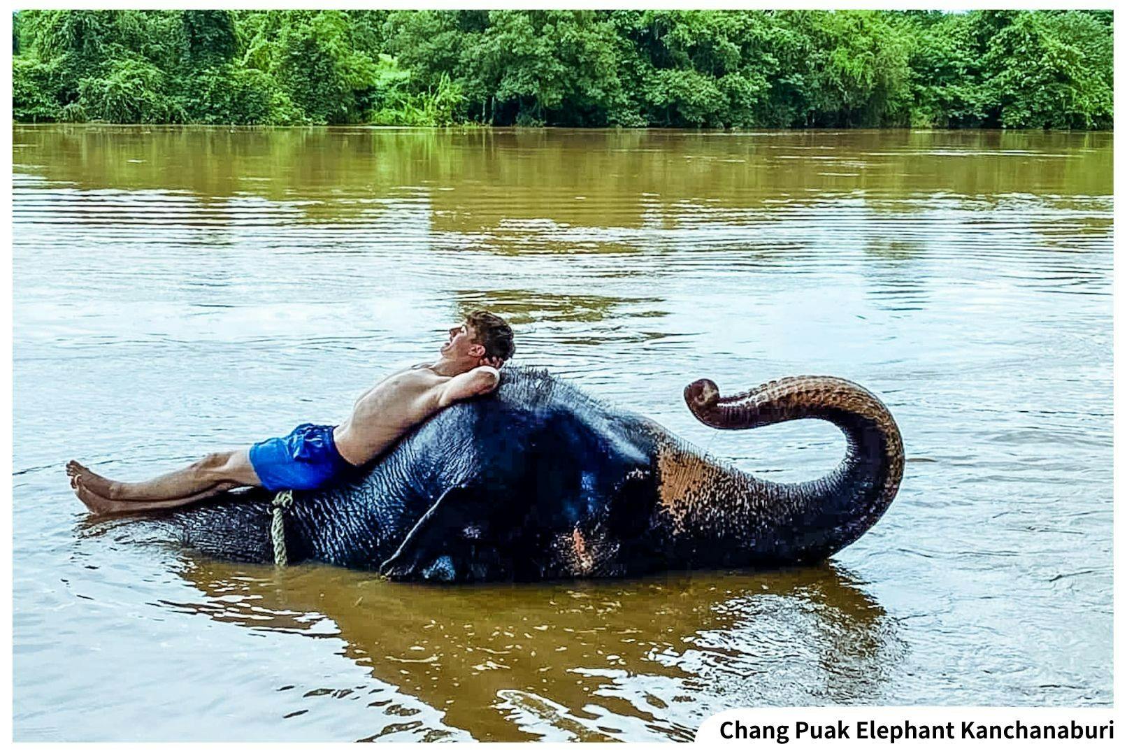 Kanchanaburi Full Day Experience: Elephants Experience Elephants Bathing & Bamboo Rafting Price