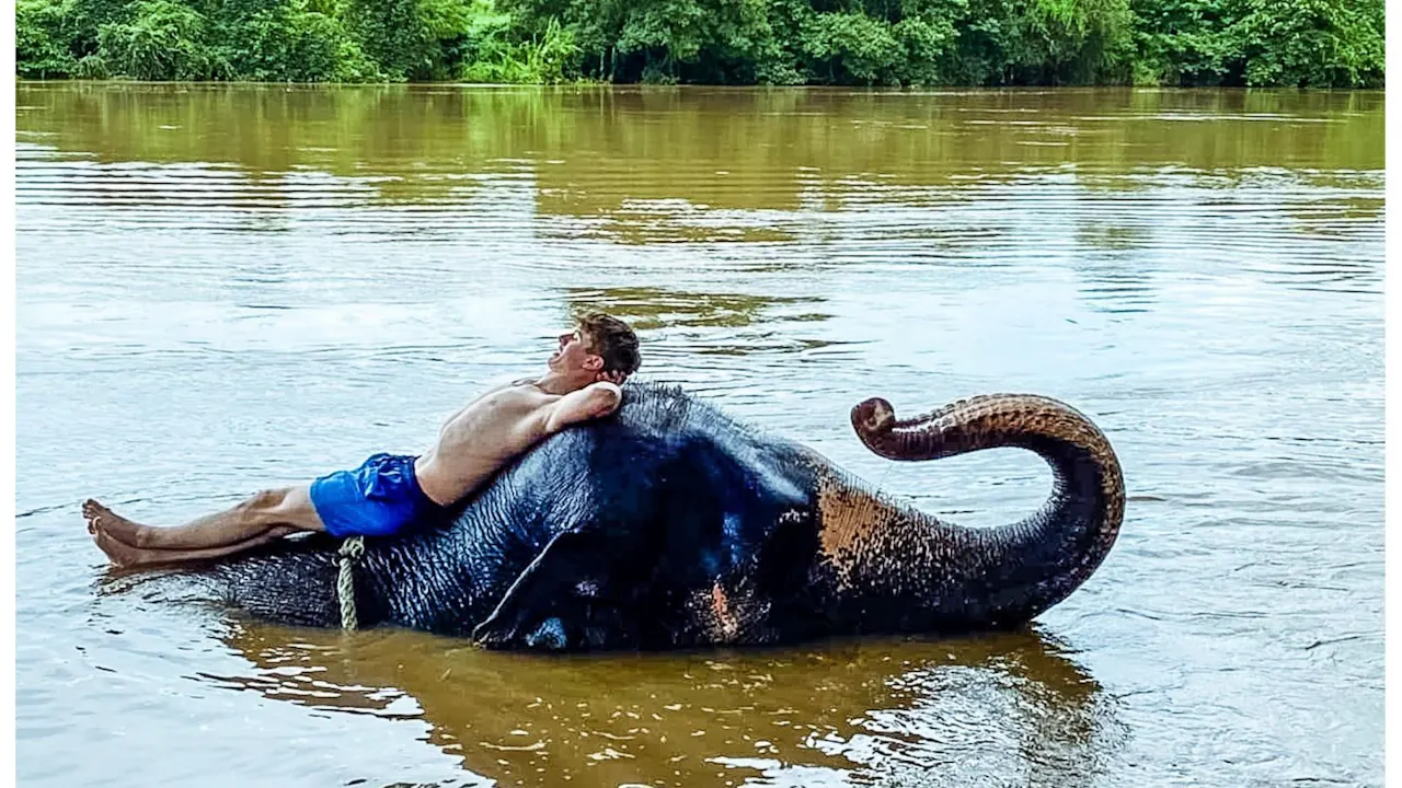 Kanchanaburi Full Day Experience: Elephants Experience Elephants Bathing & Bamboo Rafting Price