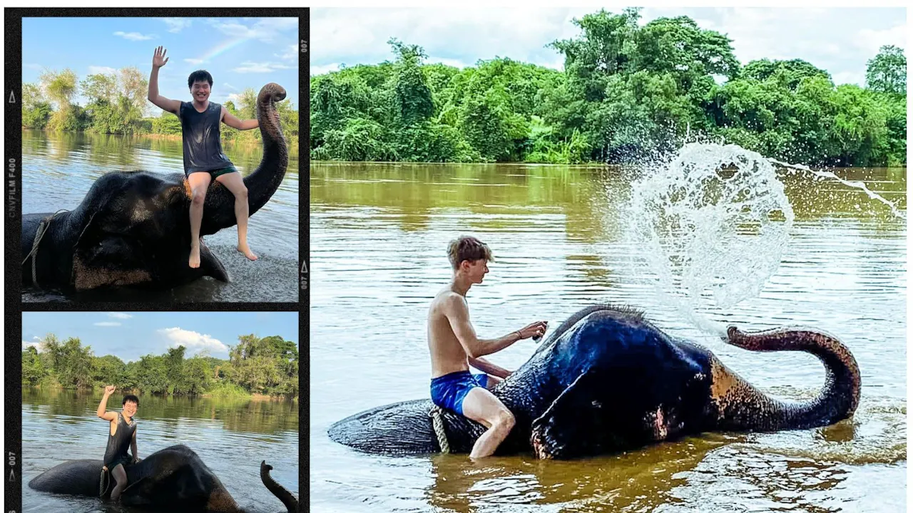 Kanchanaburi Full Day Experience: Elephants Experience Elephants Bathing & Bamboo Rafting Ticket