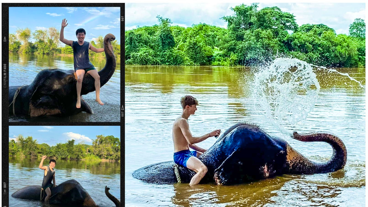 Kanchanaburi Full Day Experience: Elephants Experience Elephants Bathing & Bamboo Rafting Ticket