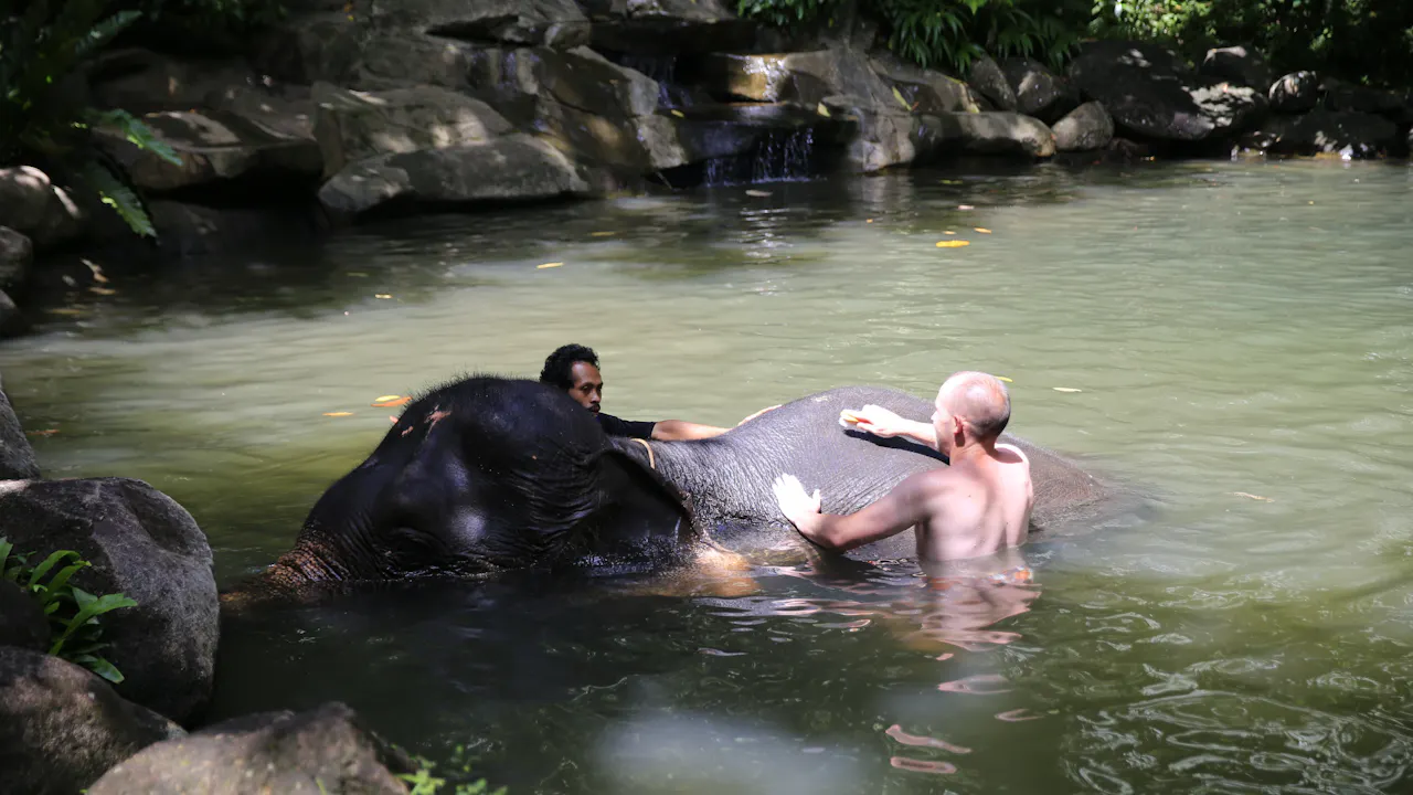 Khao Lak Elephant Bath
