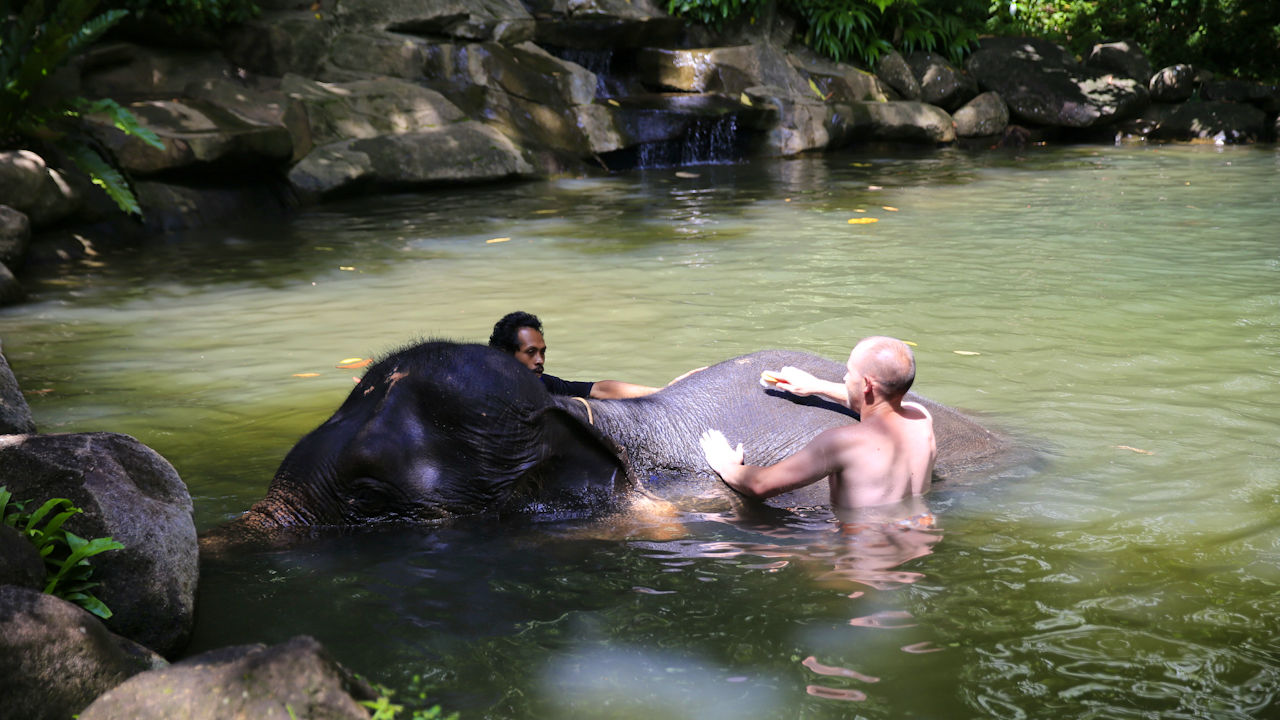Khao Lak Elephant Bath