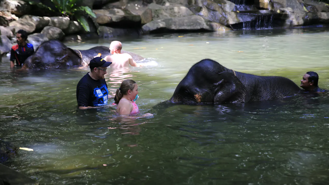 Khao Lak Elephant Bath