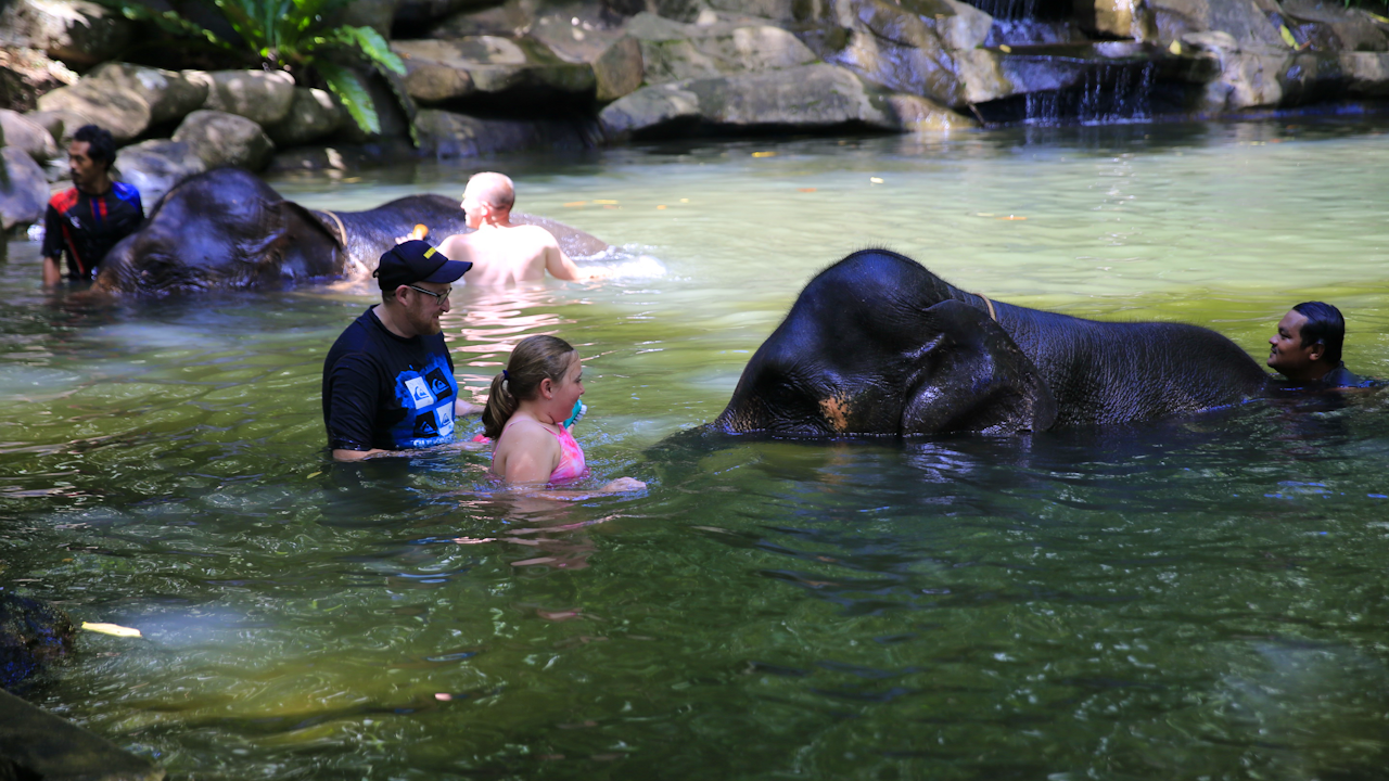Khao Lak Elephant Bath
