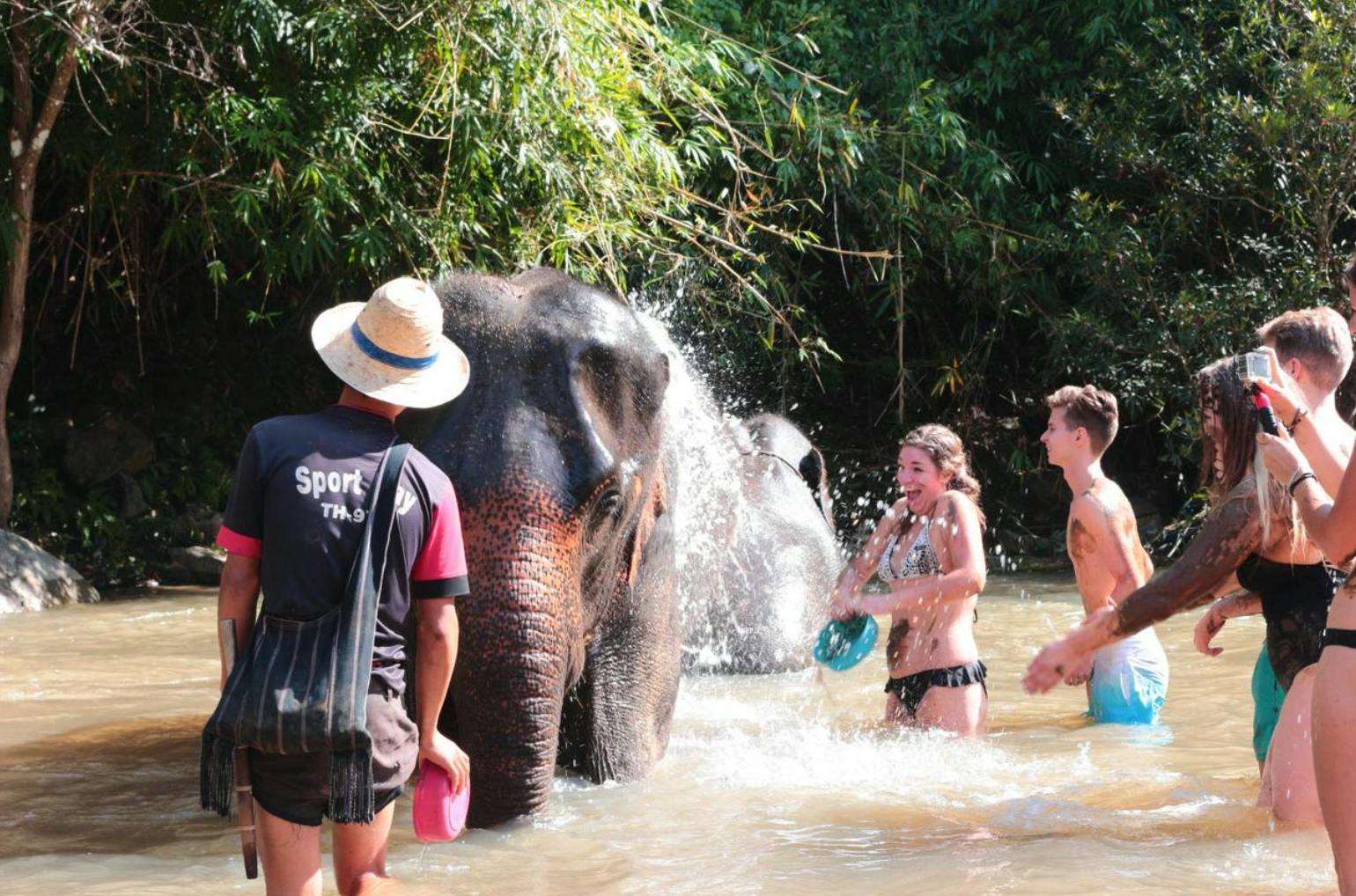 Hug Elephant Sanctuary Chiang Mai Thrillark
