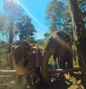 Hug Elephant Sanctuary in Chiang Mai