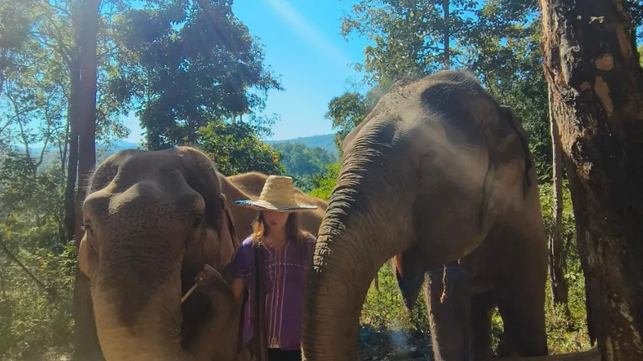 Hug Elephant Sanctuary Chiang Mai