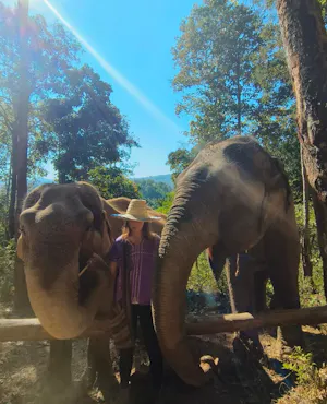 Hug Elephant Sanctuary in Chiang Mai