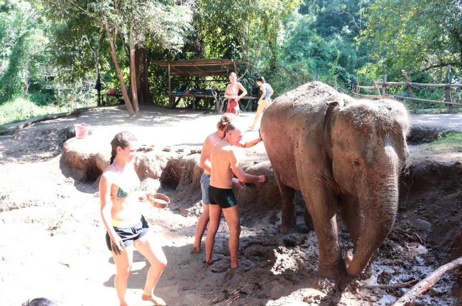 Hug Elephant Sanctuary Chiang Mai Review