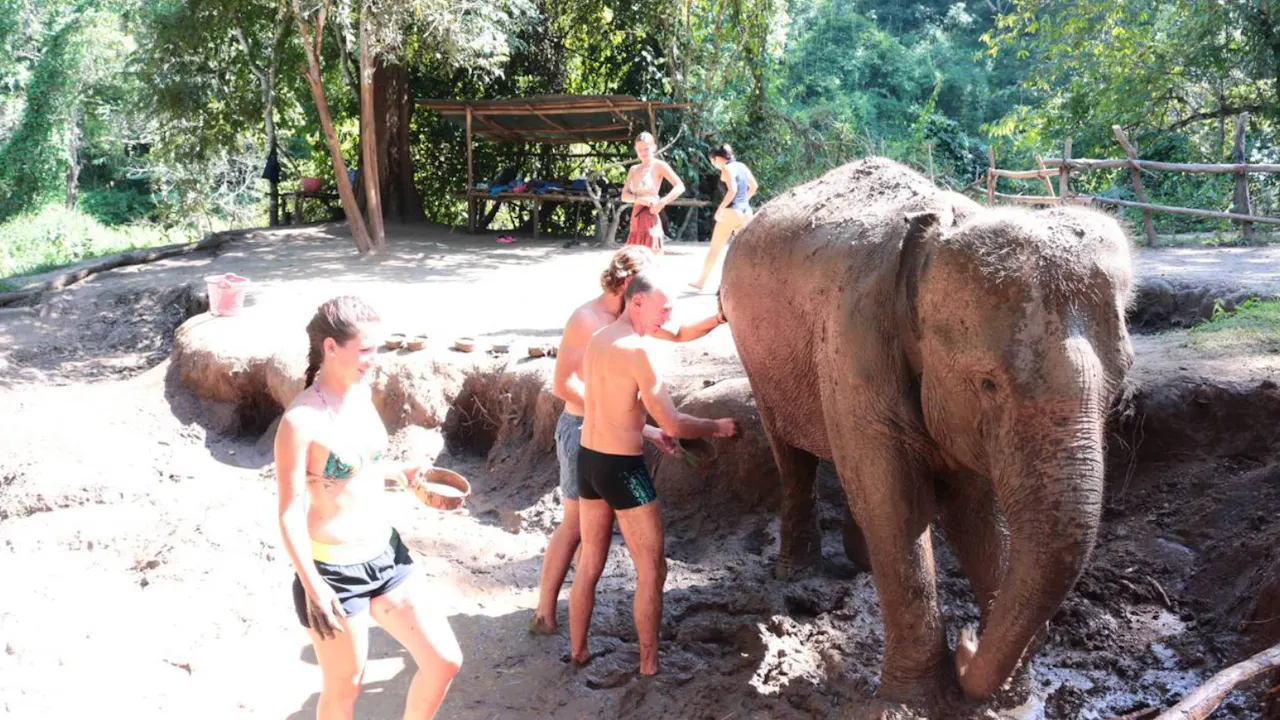 Hug Elephant Sanctuary Chiang Mai Review