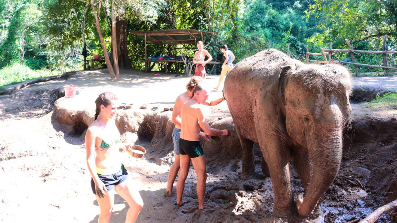 Hug Elephant Sanctuary Chiang Mai Review