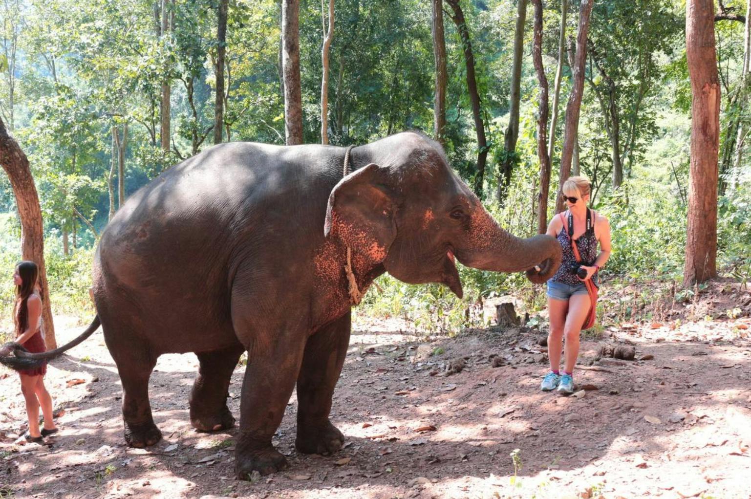Hug Elephant Sanctuary Chiang Mai Discount