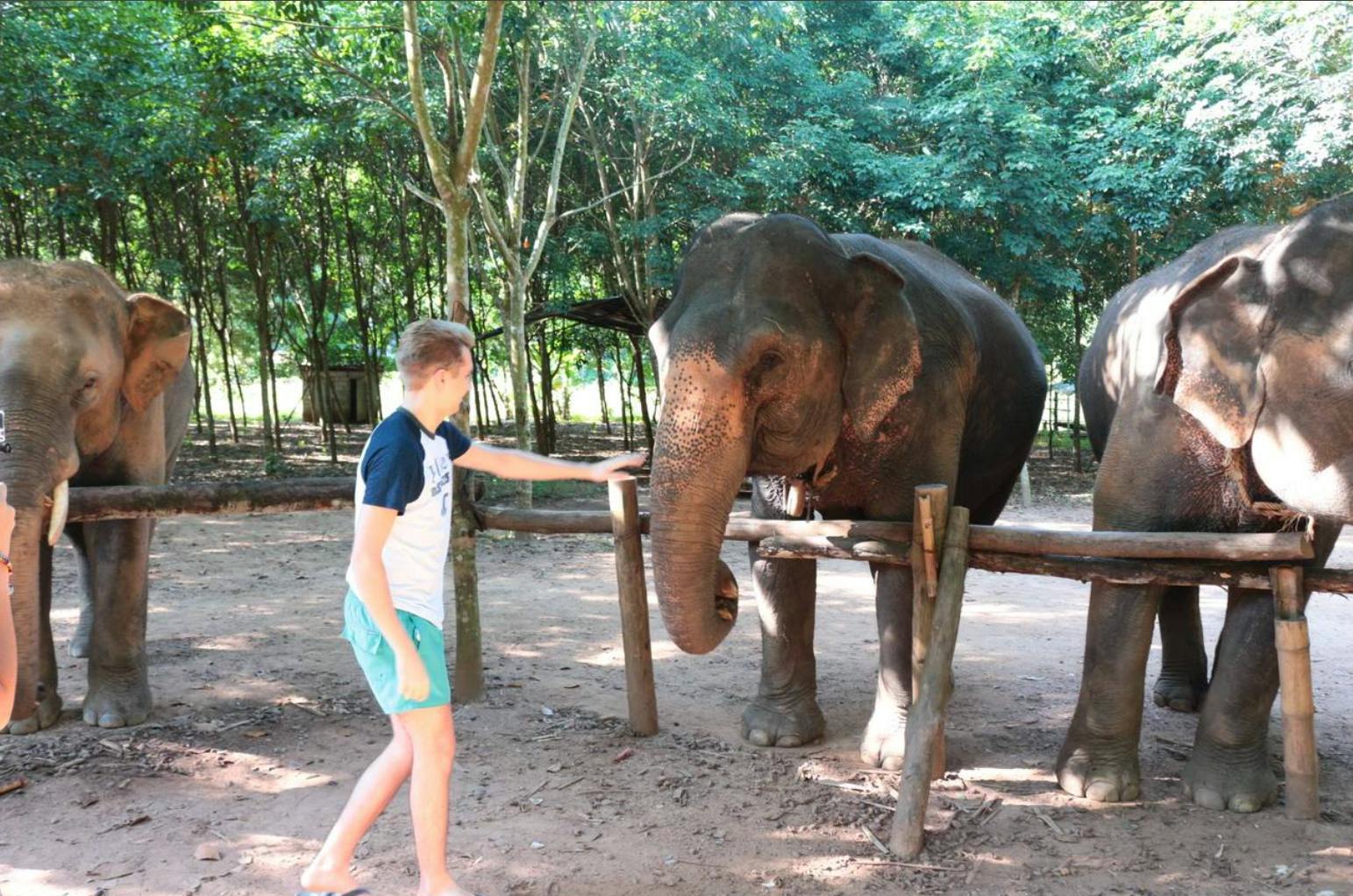 Hug Elephant Sanctuary Chiang Mai Category