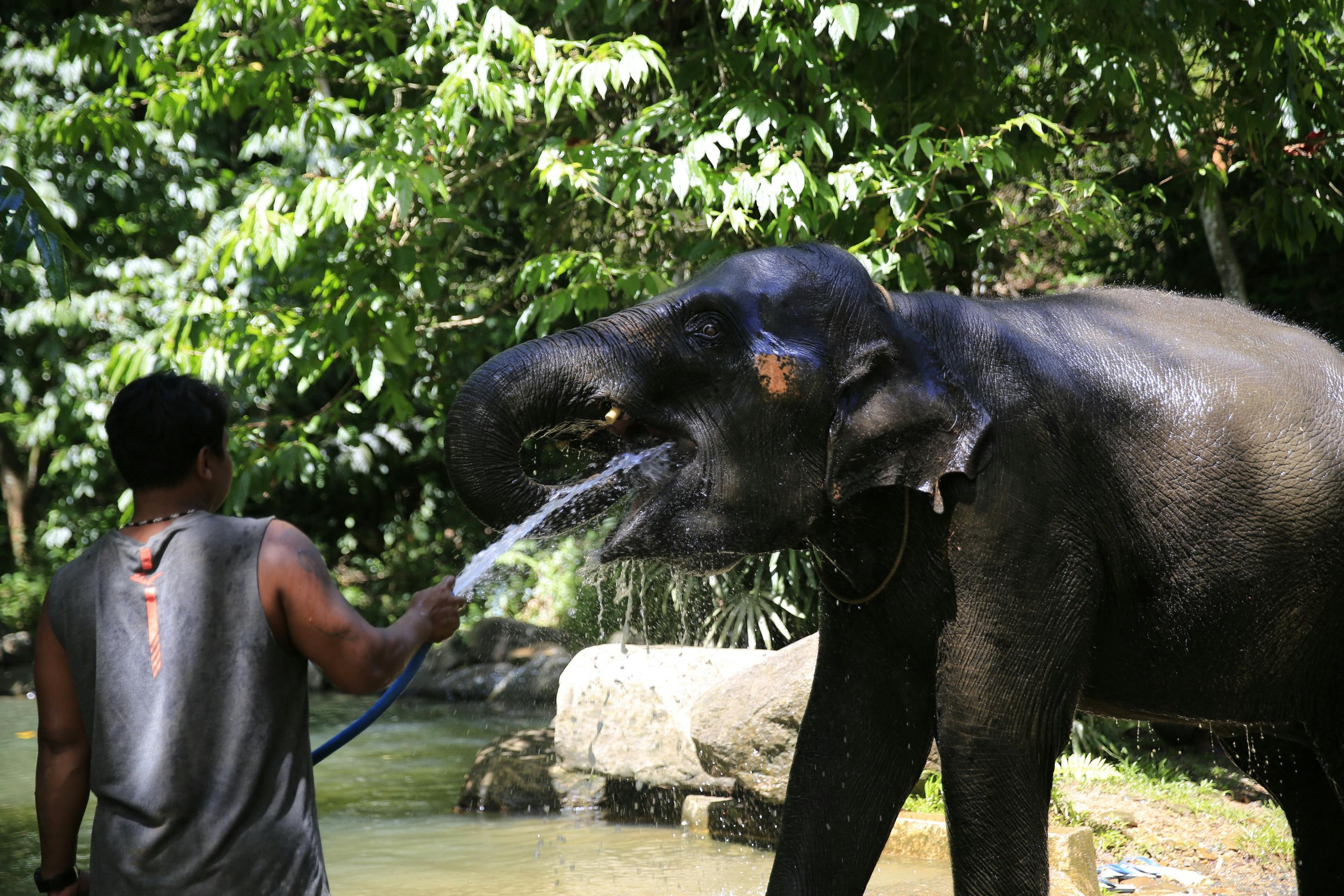 Khao Lak Safari Tour Category