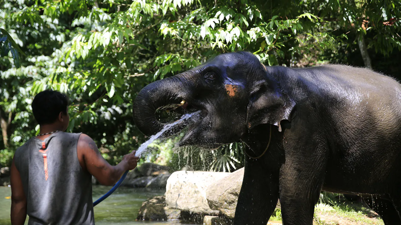 Khao Lak Safari Tour Category
