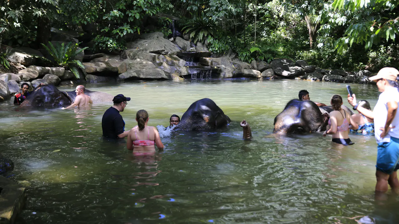 Khao Lak Safari Tour Thrillark