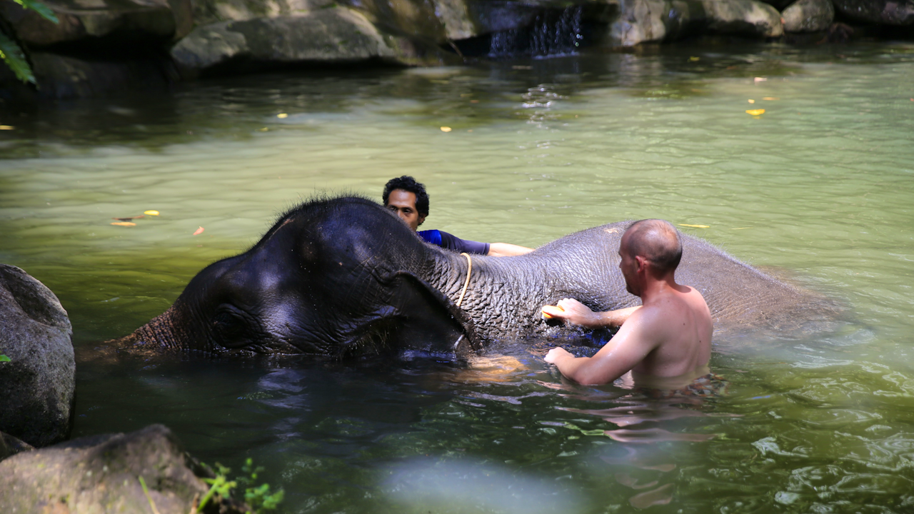 Khao Lak Safari Tour Review
