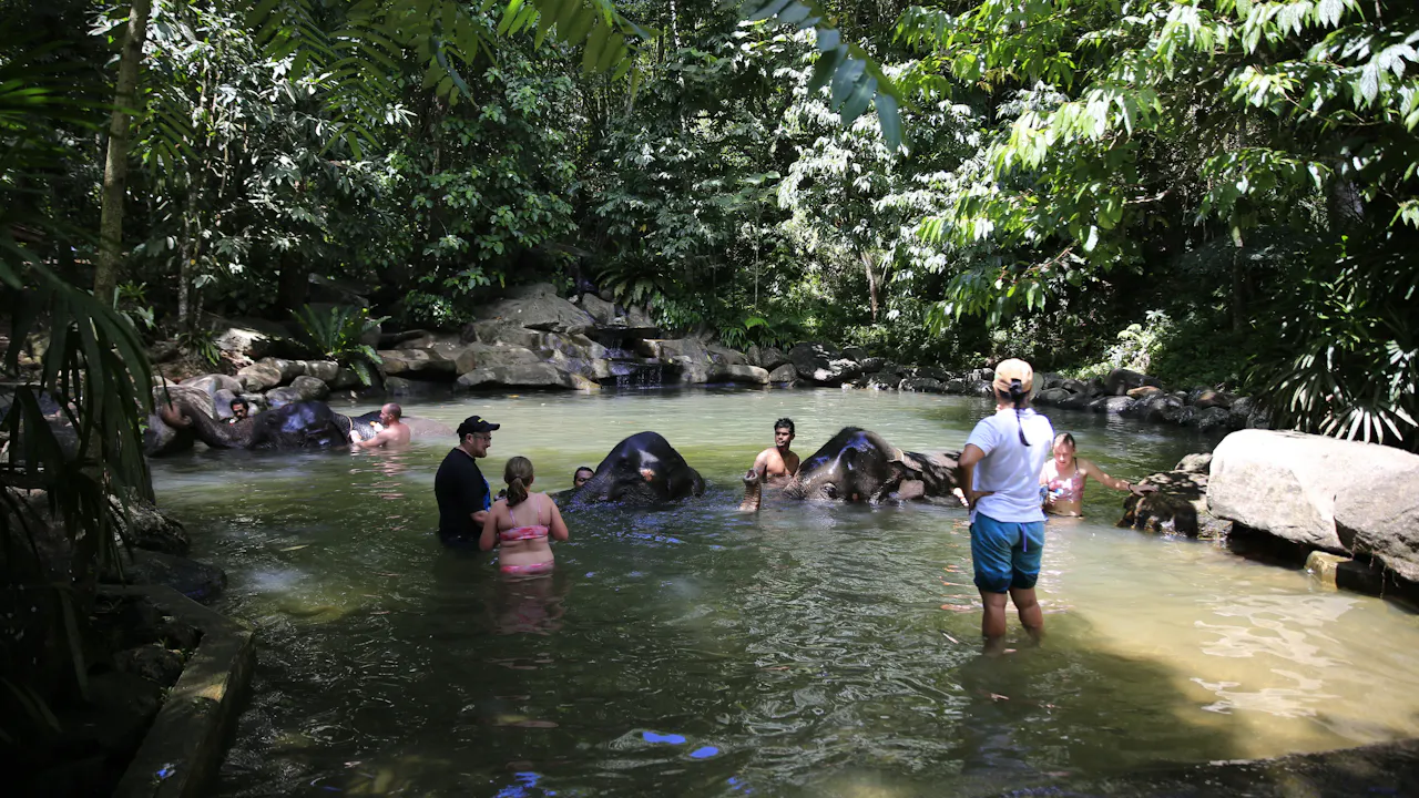 Khao Lak Safari Tour Ticket